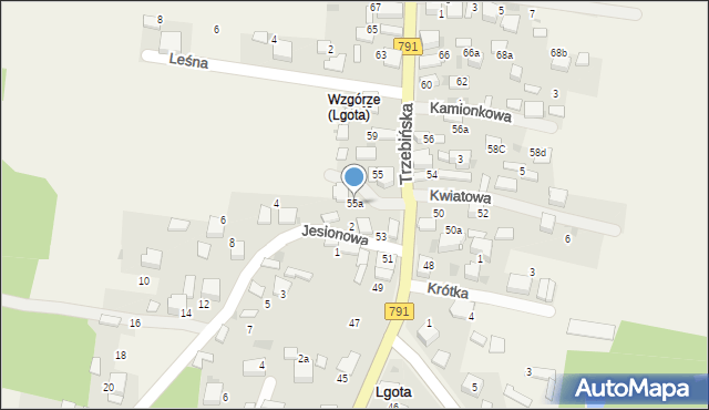 Lgota, Trzebińska, 55a, mapa Lgota