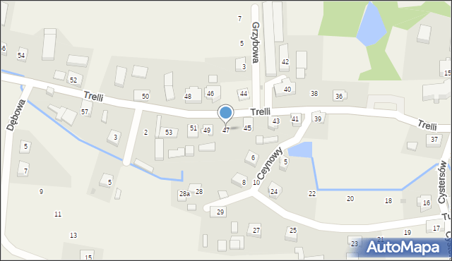 Mechowo, Trelli Zygmunta, ks., 47, mapa Mechowo