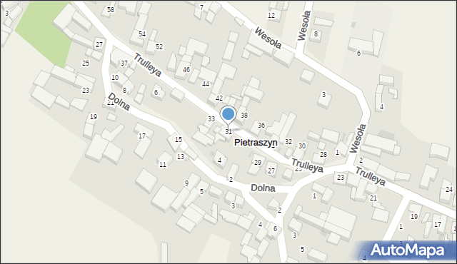 Pietraszyn, Trulleya, 31, mapa Pietraszyn