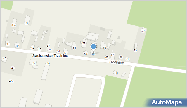 Swolszewice Małe, Trzciniec, 61, mapa Swolszewice Małe