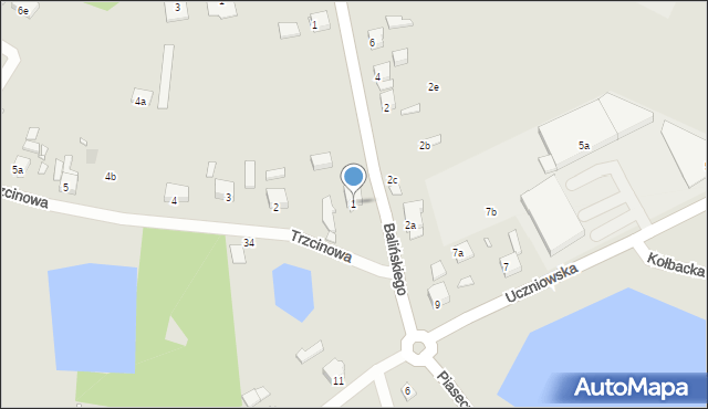 Szczecin, Trzcinowa, 1, mapa Szczecina