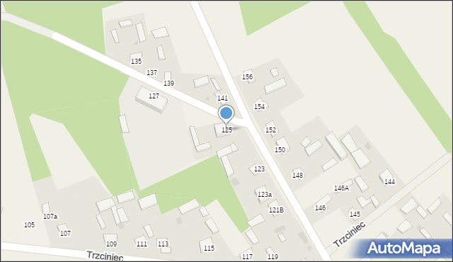 Trzciniec, Trzciniec, 125, mapa Trzciniec