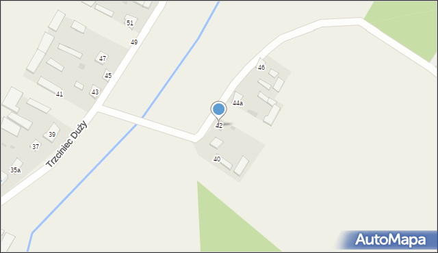 Trzciniec Duży, Trzciniec Duży, 42, mapa Trzciniec Duży