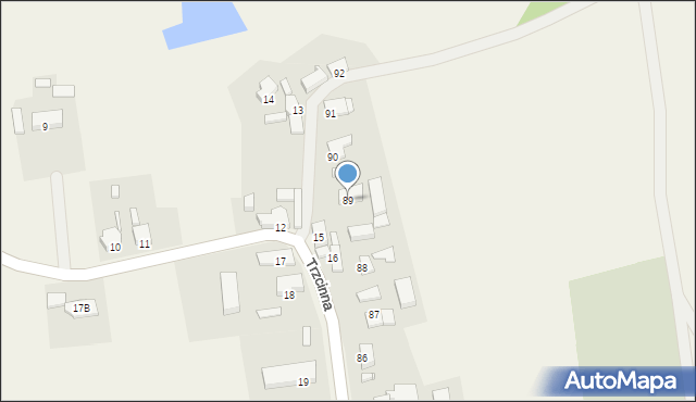 Trzcinna, Trzcinna, 89, mapa Trzcinna