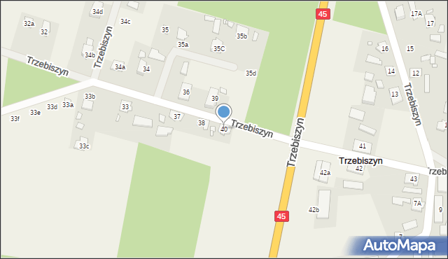 Trzebiszyn, Trzebiszyn, 40, mapa Trzebiszyn