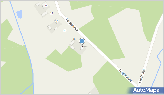 Antoniew, Tulipanowa, 6, mapa Antoniew
