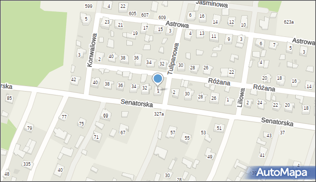 Cmolas, Tulipanowa, 1, mapa Cmolas