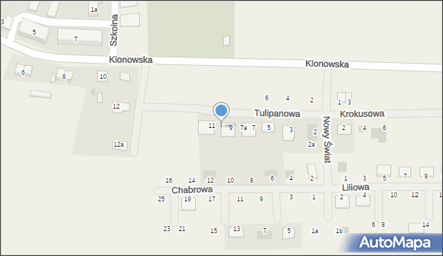 Czerlejno, Tulipanowa, 9a, mapa Czerlejno