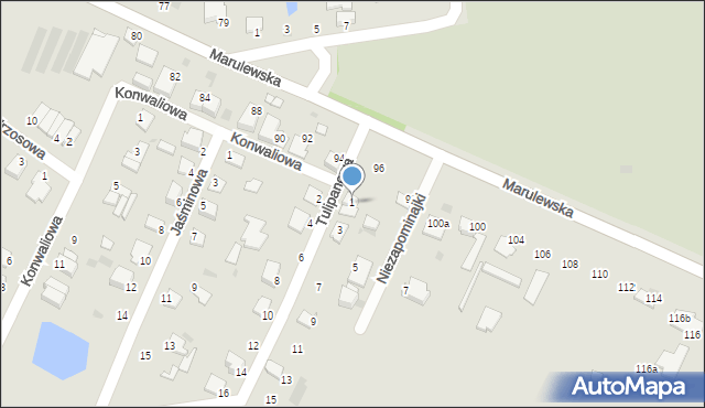 Inowrocław, Tulipanowa, 1, mapa Inowrocławia