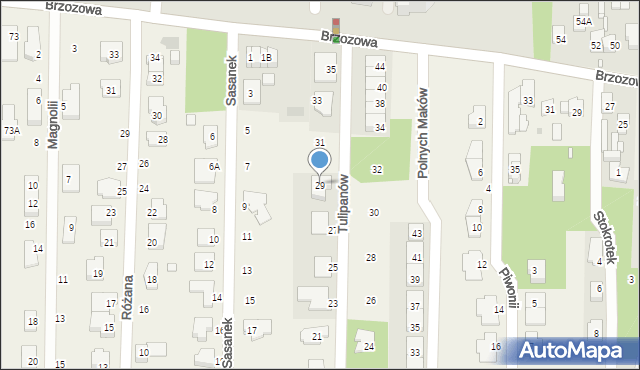 Nowa Wieś, Tulipanów, 29, mapa Nowa Wieś