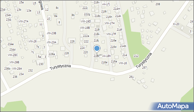 Okuninka, Turystyczna, 218c, mapa Okuninka