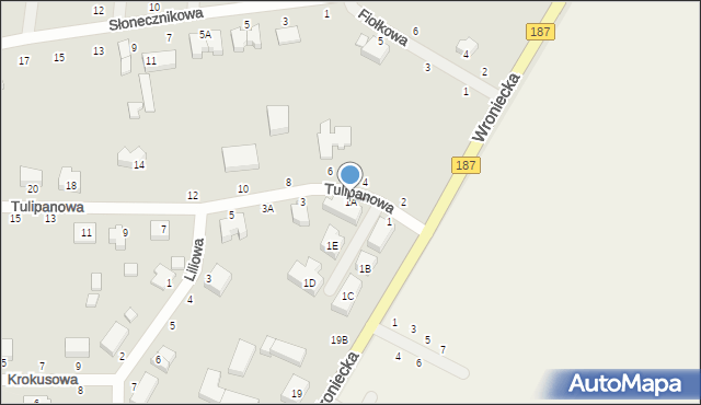 Pniewy, Tulipanowa, 1A, mapa Pniewy