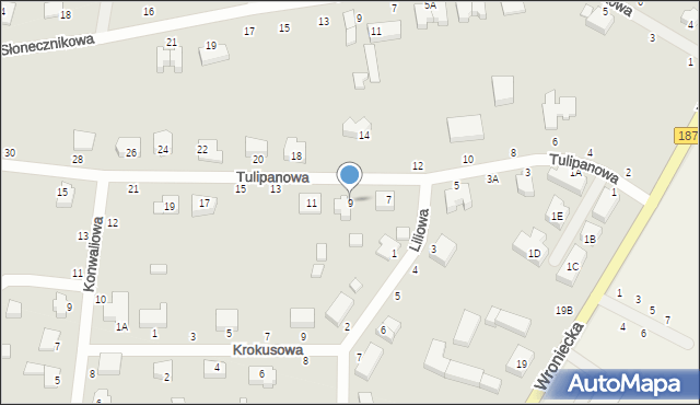 Pniewy, Tulipanowa, 9, mapa Pniewy