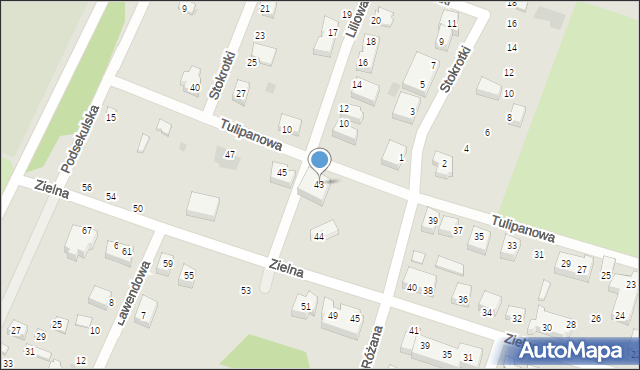 Siedlce, Tulipanowa, 43, mapa Siedlce