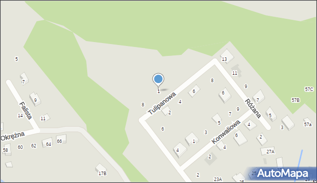 Skoki, Tulipanowa, 1, mapa Skoki