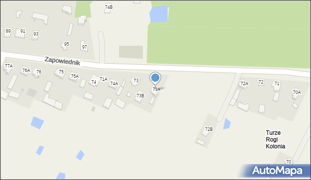 Turze Rogi, Turze Rogi, 73A, mapa Turze Rogi