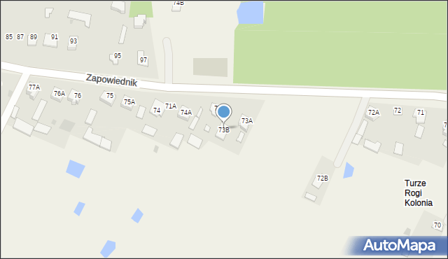 Turze Rogi, Turze Rogi, 73B, mapa Turze Rogi