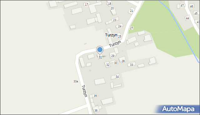 Turzyn, Turzyn, 31, mapa Turzyn