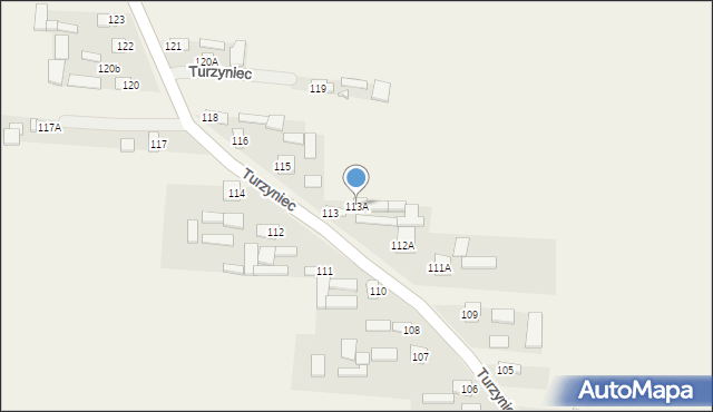 Turzyniec, Turzyniec, 113A, mapa Turzyniec