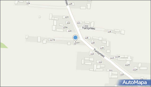 Turzyniec, Turzyniec, 117, mapa Turzyniec