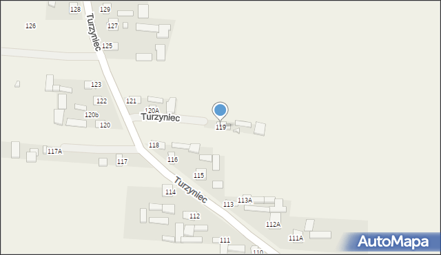 Turzyniec, Turzyniec, 119, mapa Turzyniec