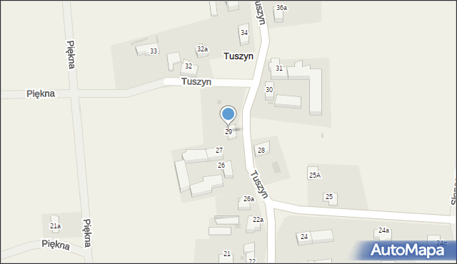 Tuszyn, Tuszyn, 29, mapa Tuszyn