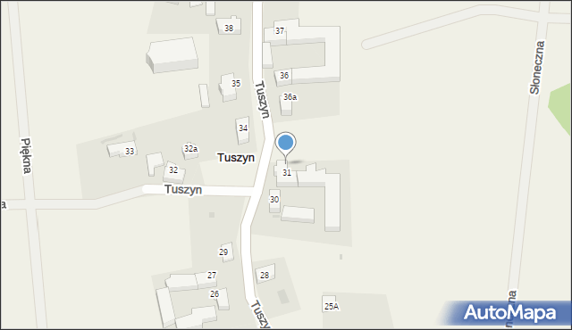 Tuszyn, Tuszyn, 31a, mapa Tuszyn
