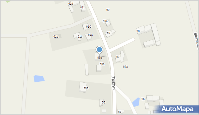 Tuszyn, Tuszyn, 55b, mapa Tuszyn