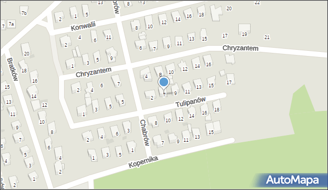 Żarki, Tulipanów, 7, mapa Żarki
