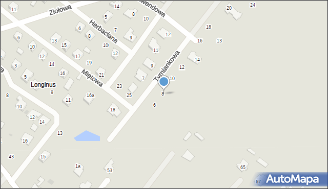 Płock, Tymiankowa, 8, mapa Płock