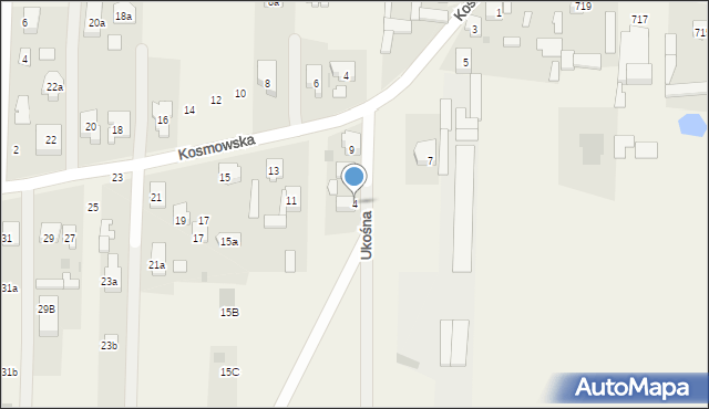 Borzęcin Duży, Ukośna, 4, mapa Borzęcin Duży