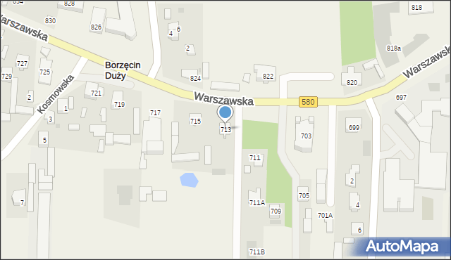 Borzęcin Duży, Warszawska, 713, mapa Borzęcin Duży