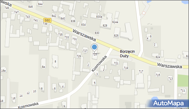 Borzęcin Duży, Warszawska, 725, mapa Borzęcin Duży