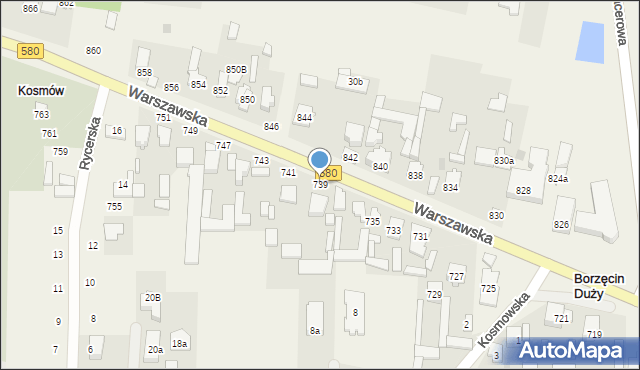 Borzęcin Duży, Warszawska, 739, mapa Borzęcin Duży