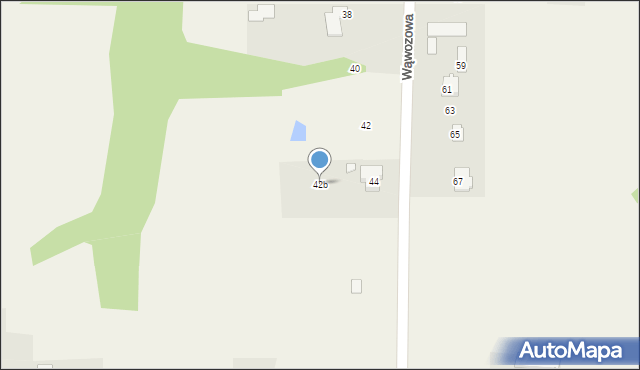 Dys, Wąwozowa, 42b, mapa Dys