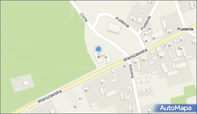 Pustelnik, Warszawska, 38, mapa Pustelnik