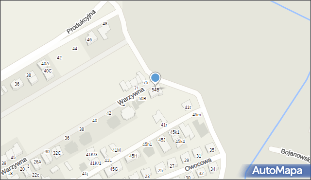 Święciechowa, Warzywna, 54B, mapa Święciechowa