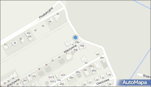 Święciechowa, Warzywna, 73, mapa Święciechowa