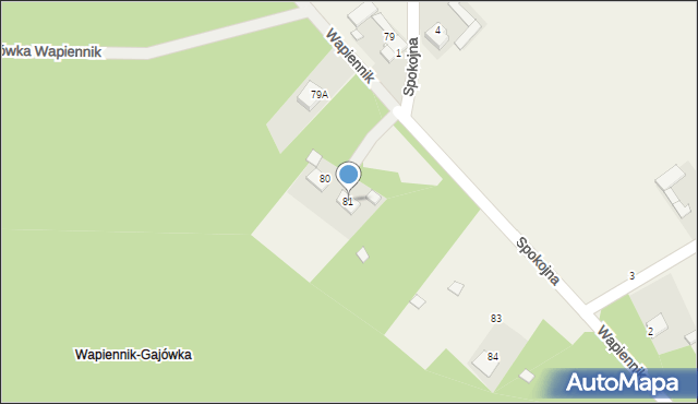 Wapiennik, Wapiennik, 81, mapa Wapiennik