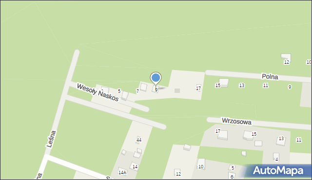 Adamów-Parcel, Wesoły Naskos, 9, mapa Adamów-Parcel