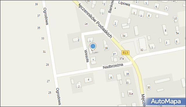 Drelów, Wesoła, 5, mapa Drelów