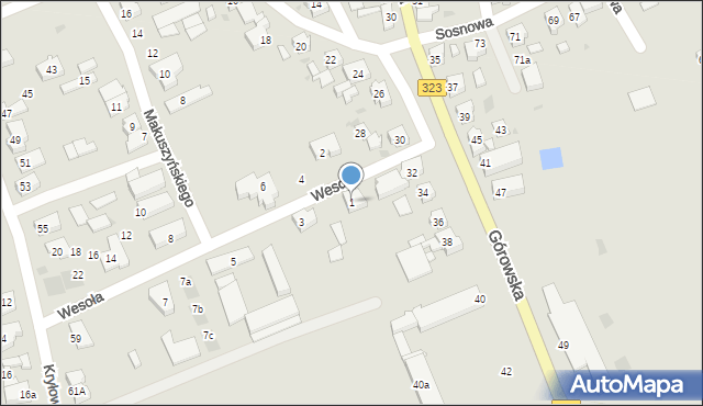 Leszno, Wesoła, 1, mapa Leszno