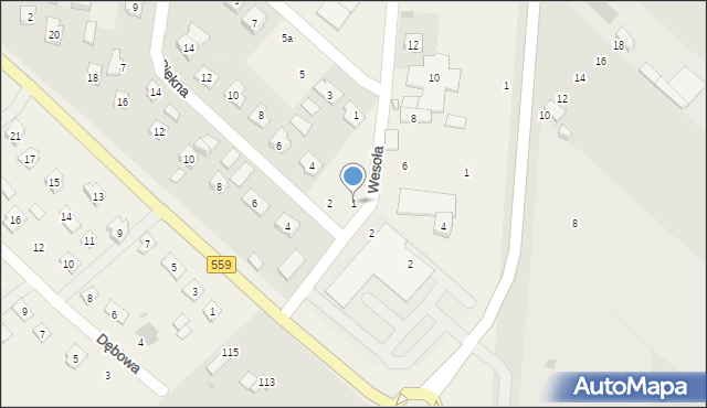 Maszewo Duże, Wesoła, 1, mapa Maszewo Duże