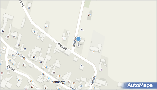 Pietraszyn, Wesoła, 8, mapa Pietraszyn