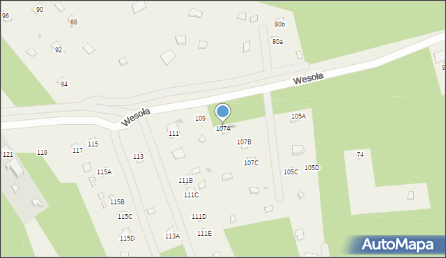 Poddębie, Wesoła, 107A, mapa Poddębie