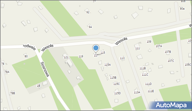 Poddębie, Wesoła, 117, mapa Poddębie