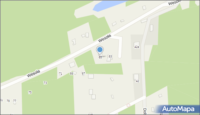 Poddębie, Wesoła, 65, mapa Poddębie