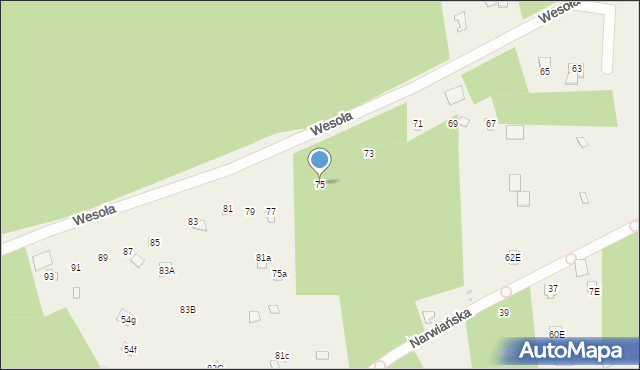 Poddębie, Wesoła, 75, mapa Poddębie