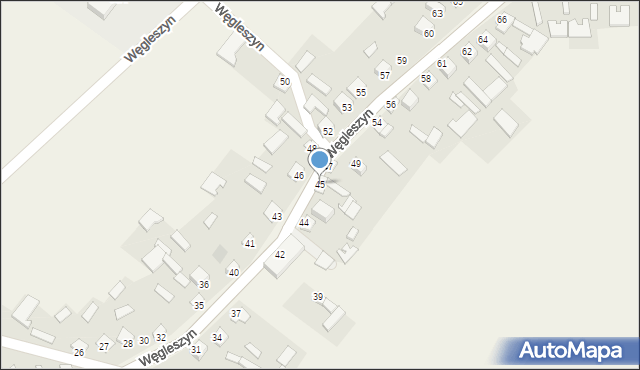 Węgleszyn, Węgleszyn, 45, mapa Węgleszyn