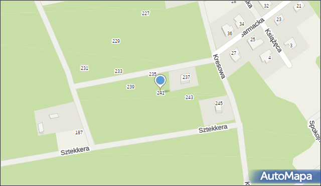 Wężyk, Wężyk, 241, mapa Wężyk